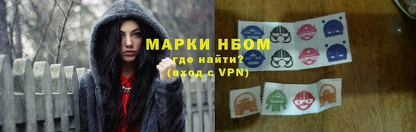сатива Верея