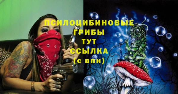 сатива Верея
