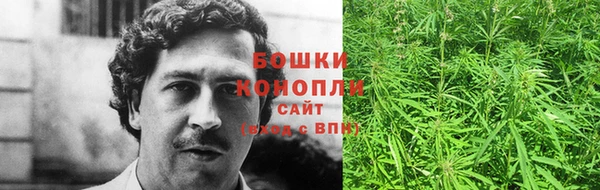 сатива Верея