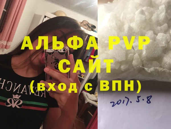 сатива Верея